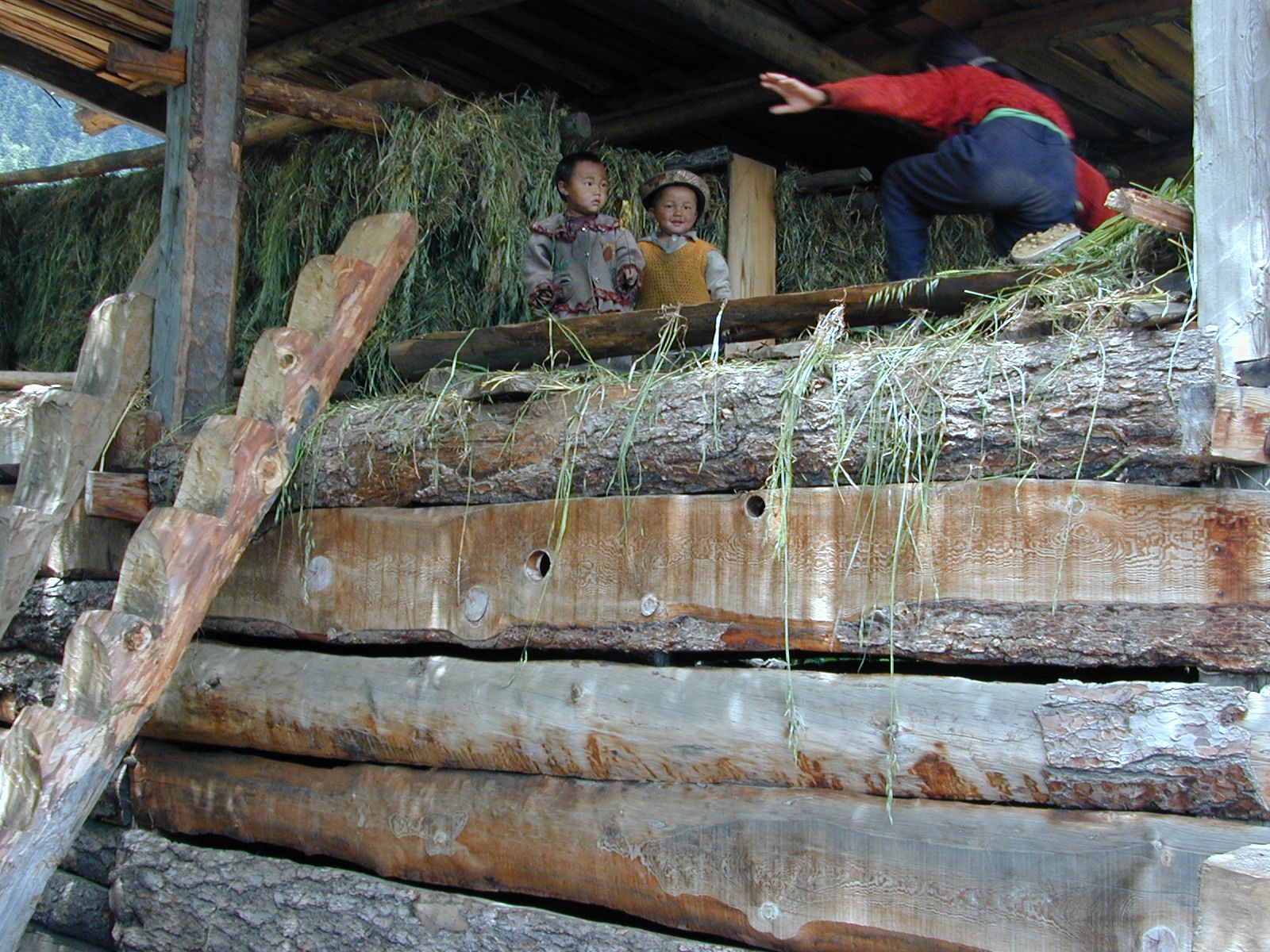 Children in the Village of Chipa (spyi pa), in Kongpo