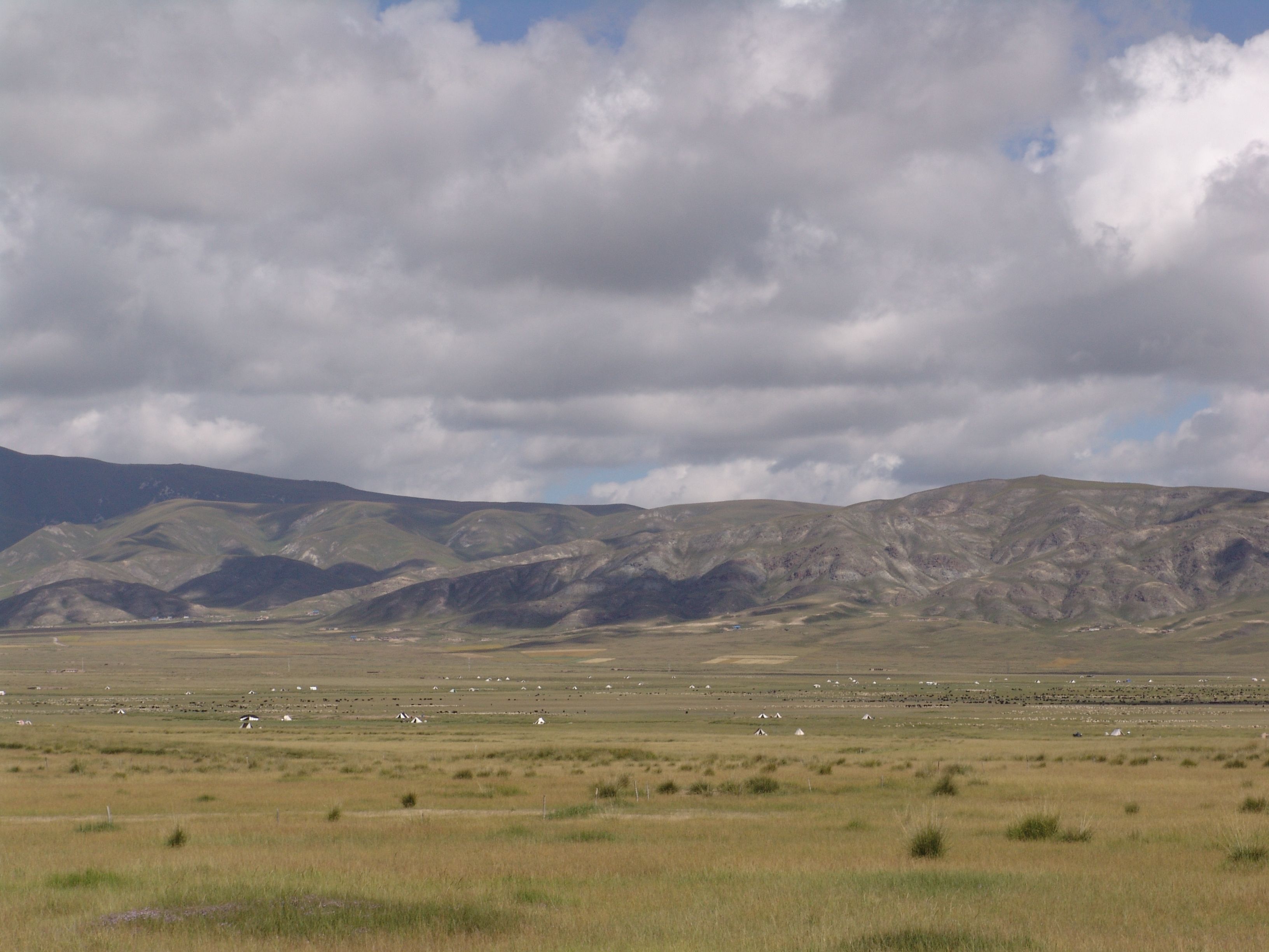 Local area view