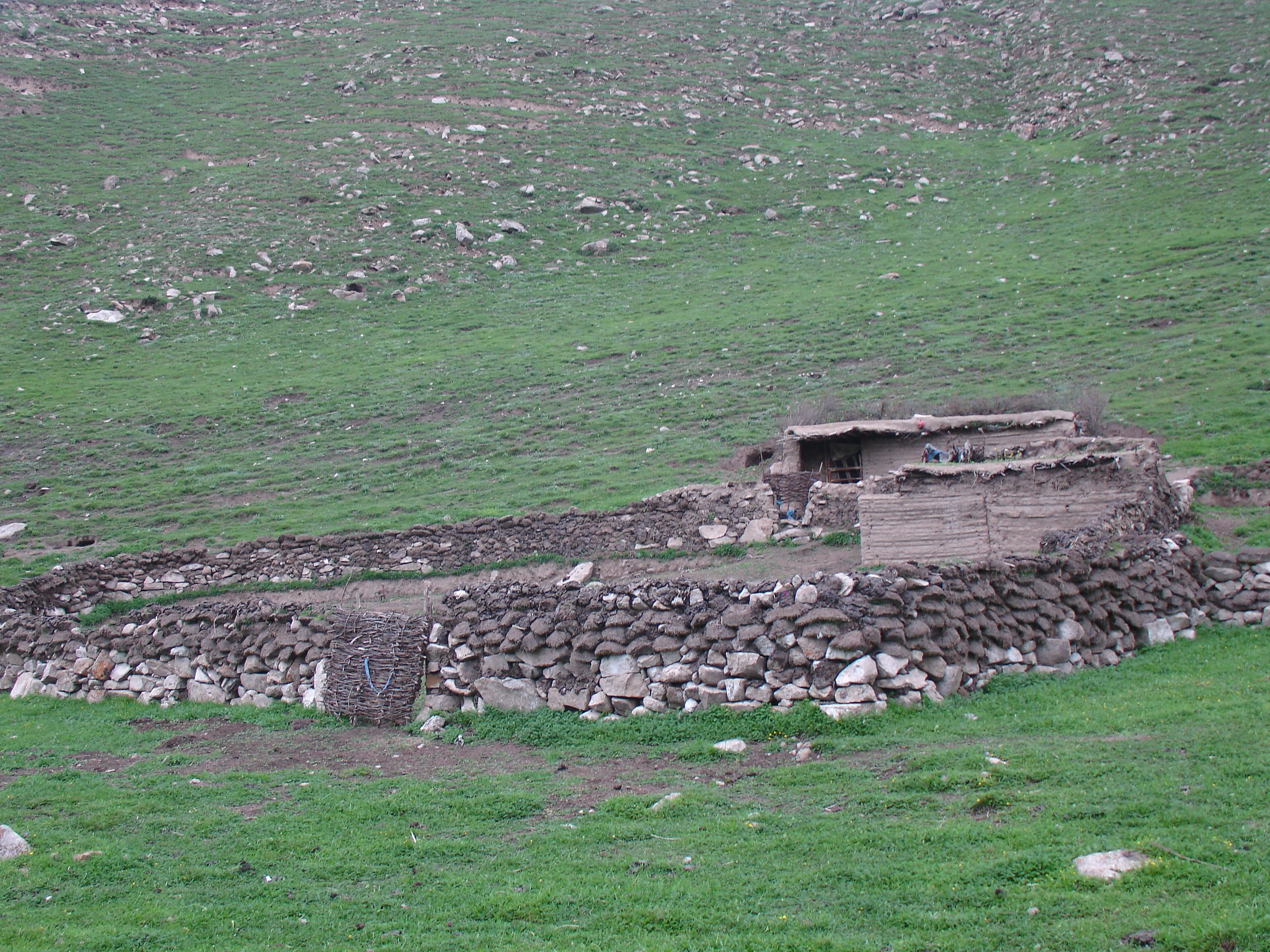Local house and yard