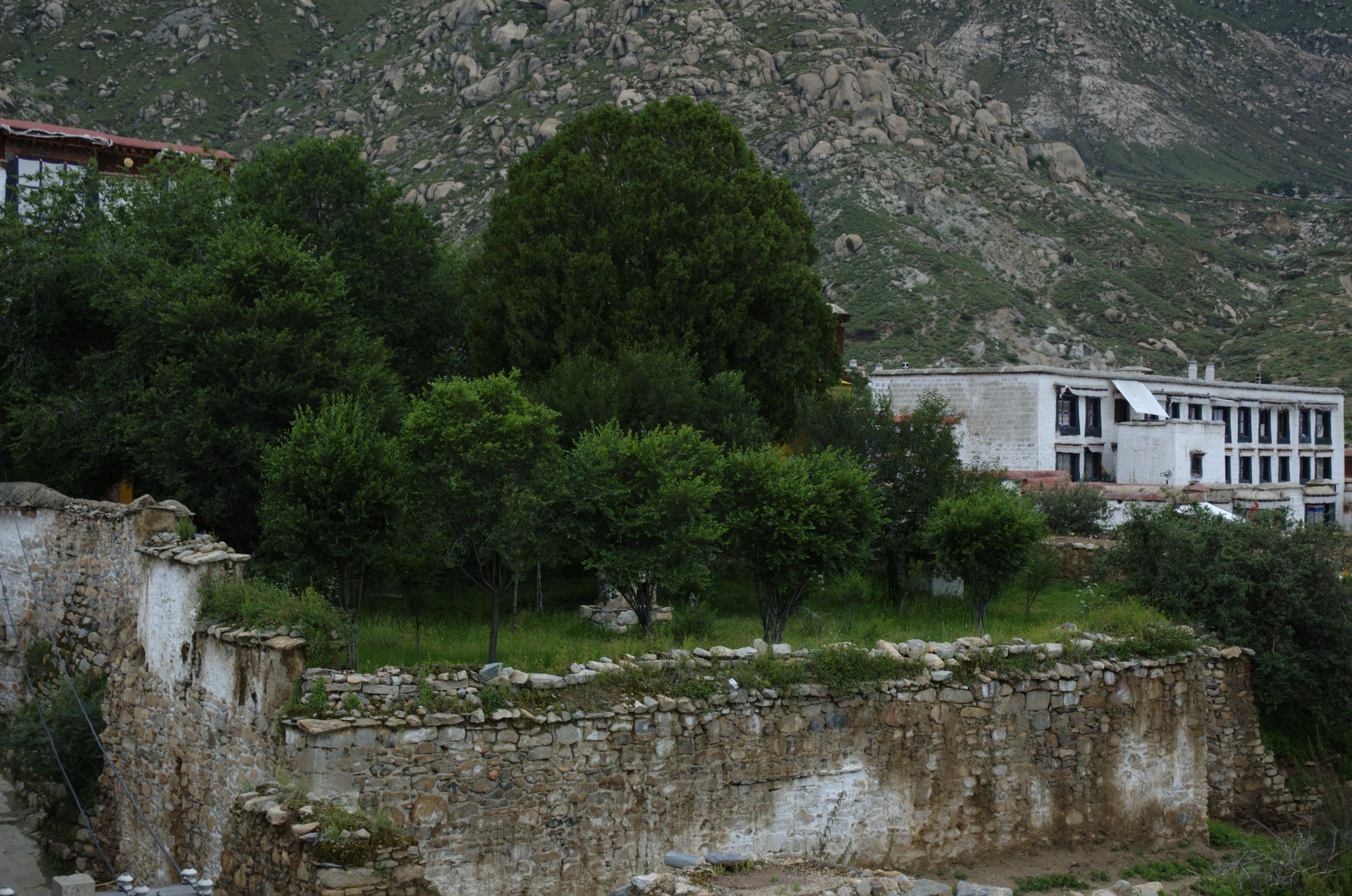 (Untitled)
