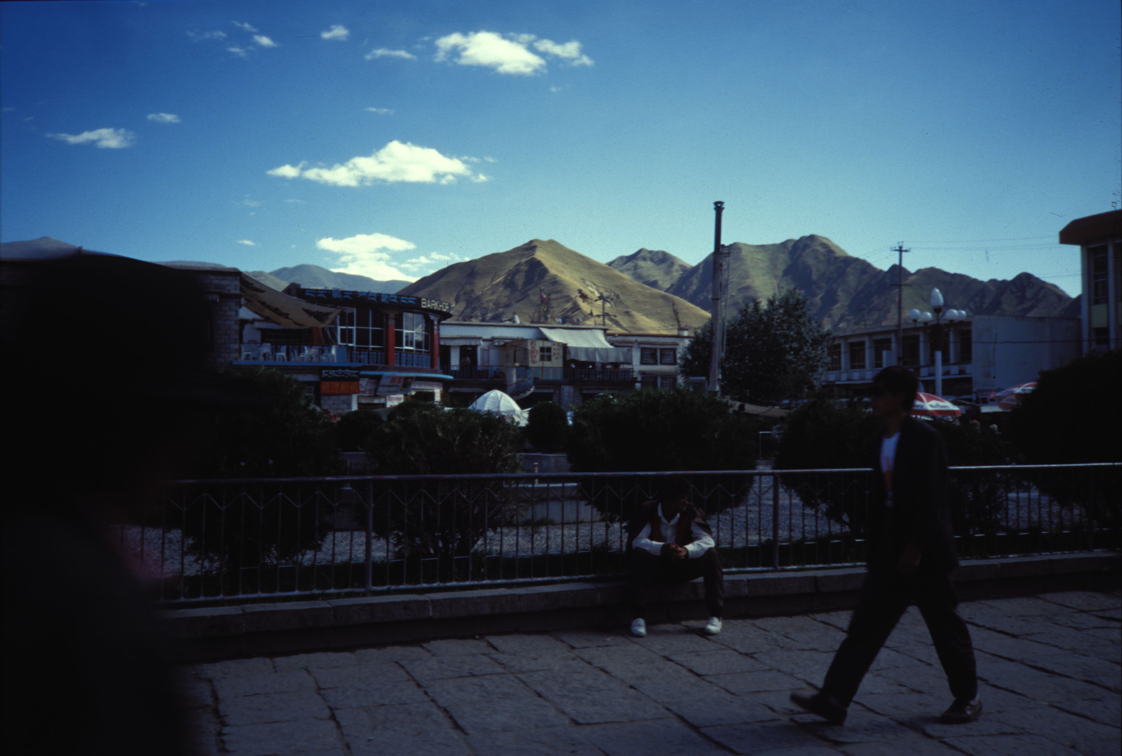 (Untitled)