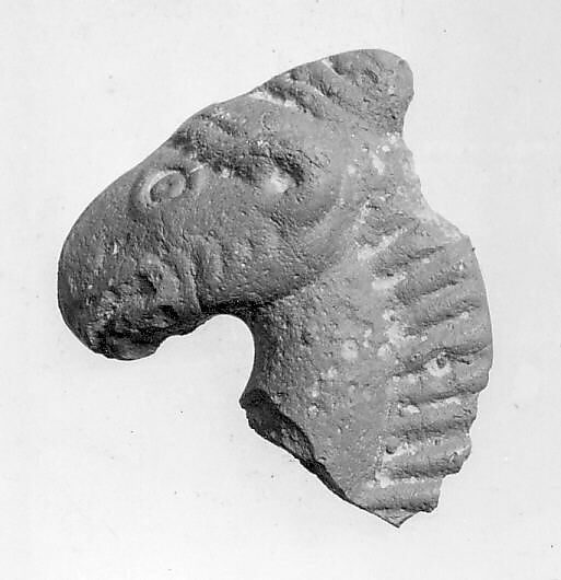 Head of a Horse or C