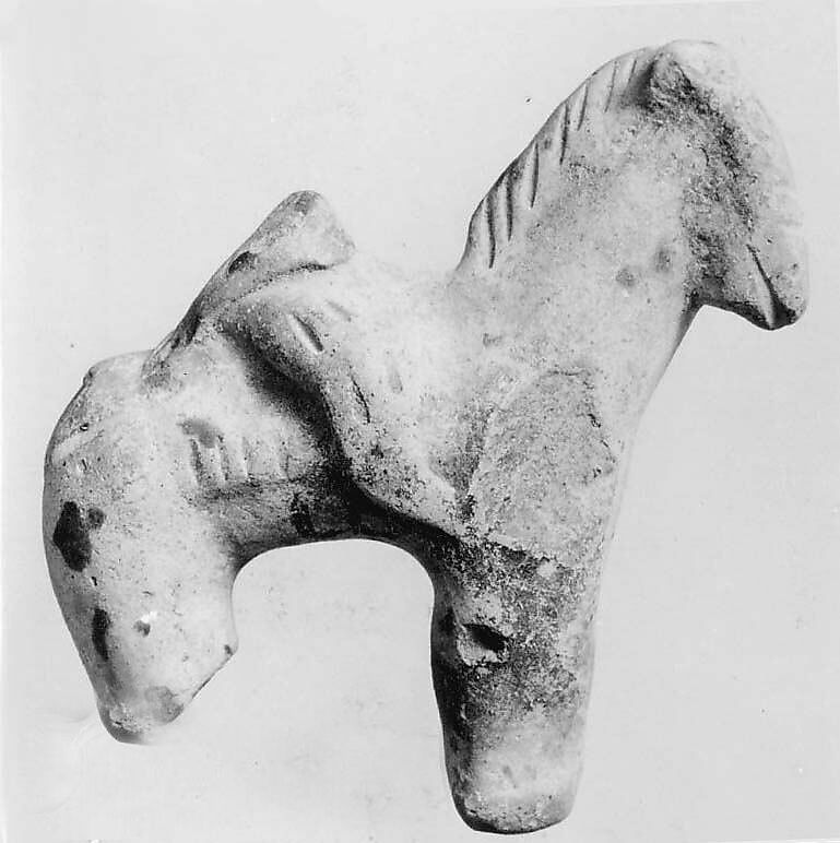 Fragment of a Horse